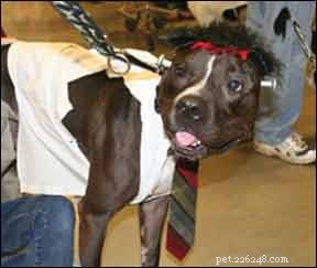 Breed Discrimination in Pet Insurance: Pennsylvania s Battle Against Unfair Practices