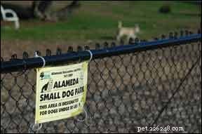 Essential Dog Park Rules for Safety and Compliance