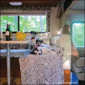 Traveling with Your Dog? Tips for a Smooth, Enjoyable Vacation