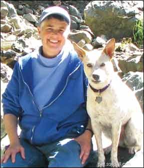 Traveling with Your Dog? Tips for a Smooth, Enjoyable Vacation