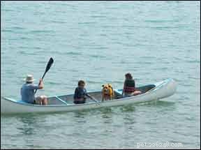 Traveling with Your Dog? Tips for a Smooth, Enjoyable Vacation