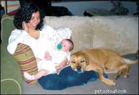 Fostering a Lifelong Bond: Teaching Children to Love Dogs Early