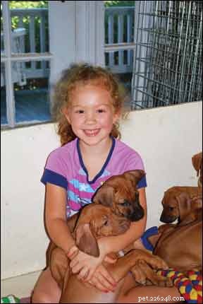Fostering a Lifelong Bond: Teaching Children to Love Dogs Early