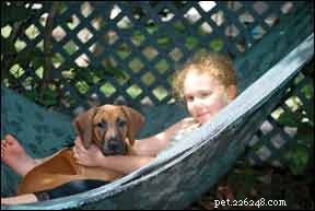 Adopt a Comprehensive Holistic Care Plan for Your Dog’s Health