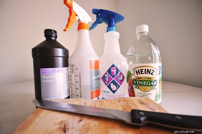 Apple Cider Vinegar for Dogs: Proven Health Benefits