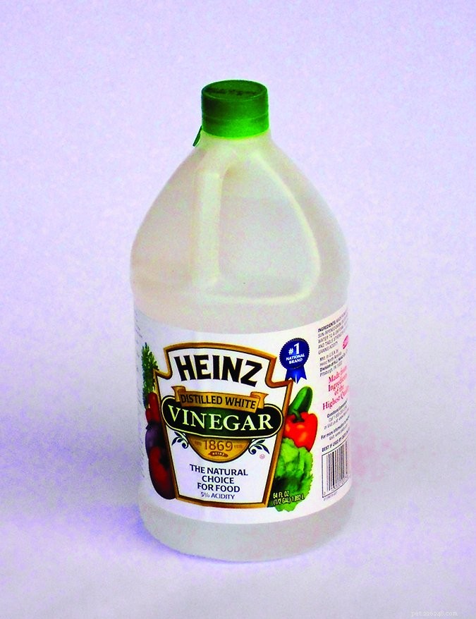 Apple Cider Vinegar for Dogs: Proven Health Benefits
