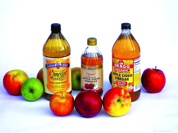 Apple Cider Vinegar for Dogs: Proven Health Benefits