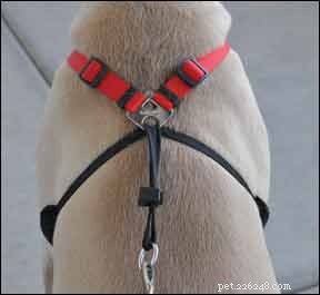 No-Pull Dog Harness Review: The Best Front-Clip Solution for Gentle Walking