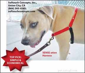 No-Pull Dog Harness Review: The Best Front-Clip Solution for Gentle Walking