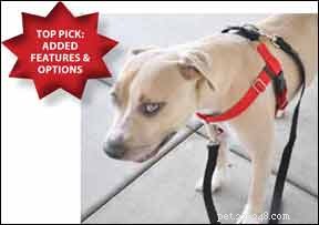 No-Pull Dog Harness Review: The Best Front-Clip Solution for Gentle Walking