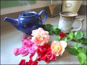 Roses: A Holistic Solution for Your Dog s Health and Wellbeing