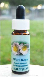 Roses: A Holistic Solution for Your Dog s Health and Wellbeing