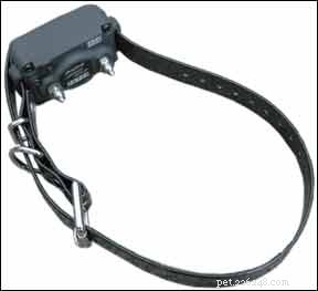 Why Shock Collars Harm Puppies: The Case for Humane Training