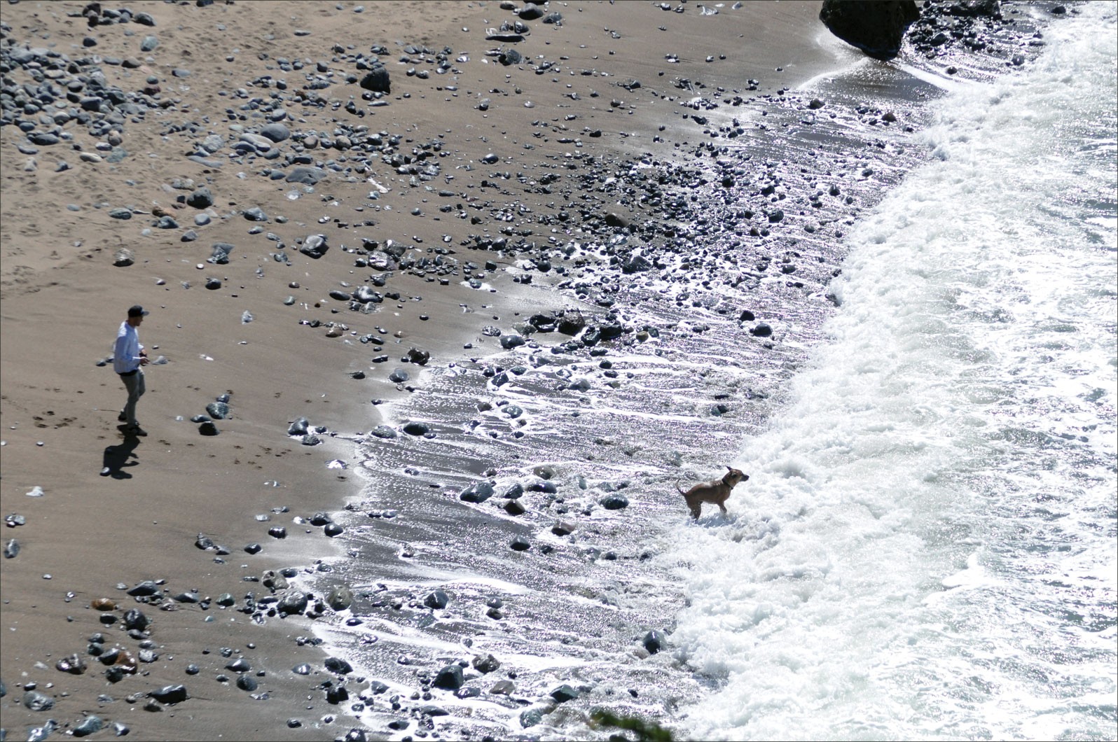 Preventing Water Intoxication: Protect Your Dog from Water-Related Health Risks