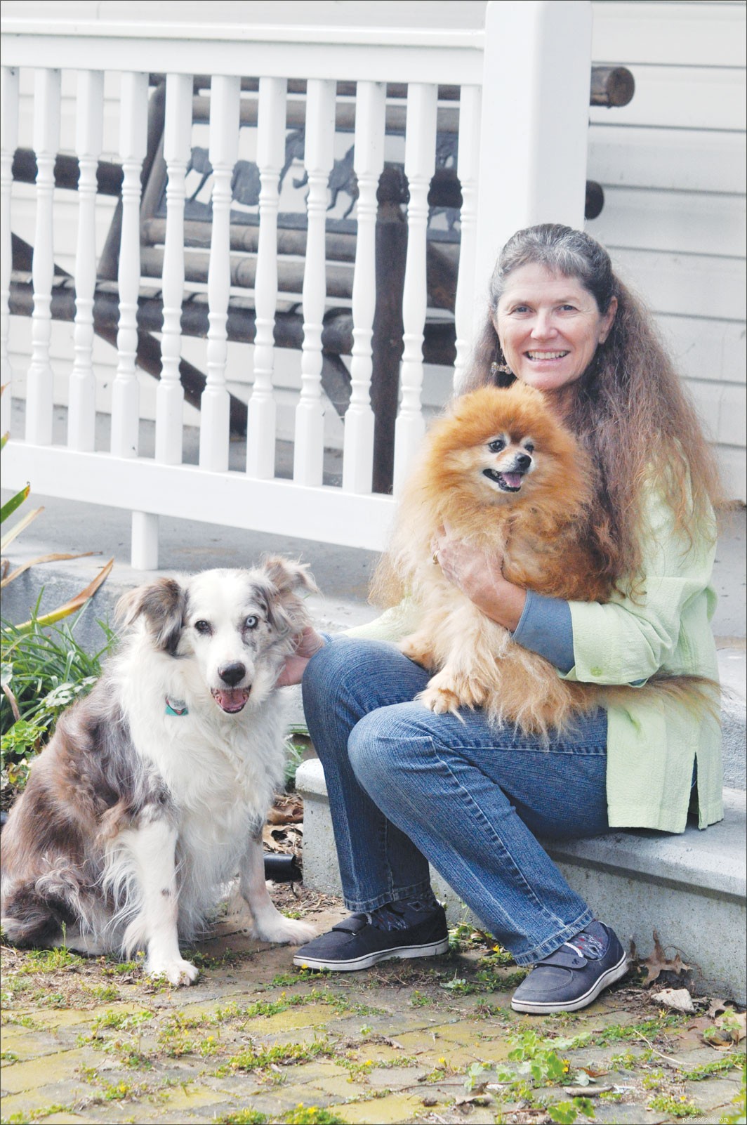 How to Successfully Adopt a Senior Dog: A Practical Guide
