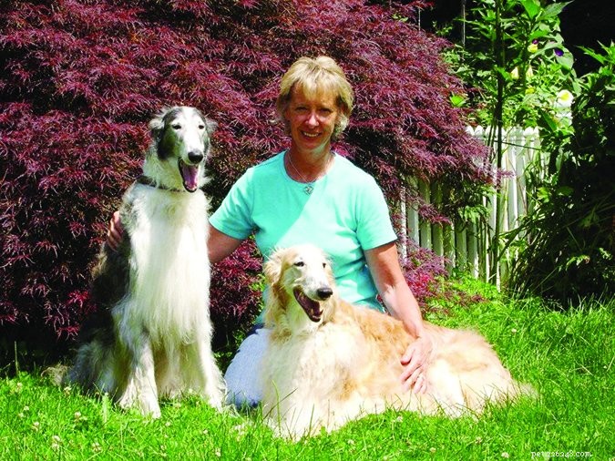 How to Successfully Adopt a Senior Dog: A Practical Guide