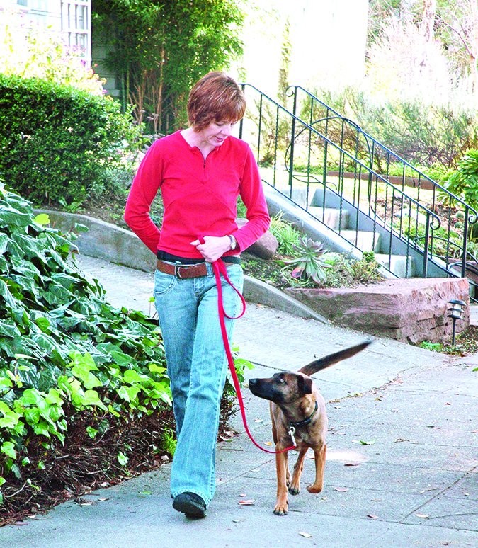 How to Find a Trusted Dog Walker for Your Pet s Safety
