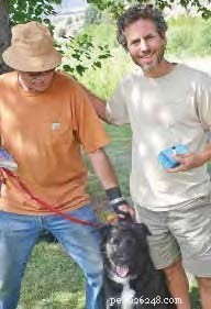 Protect Your Dog: Expert Guide to Preventing and Treating Poisonous Snake Bites