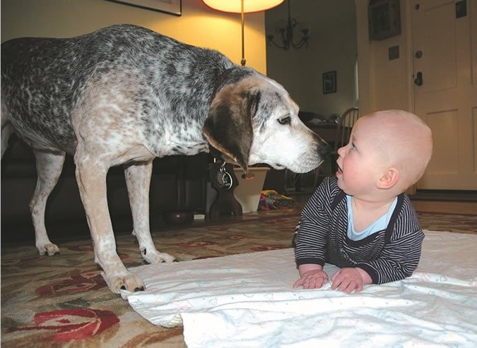 Safely Introducing Your Dog to a New Baby: Expert Tips & Steps