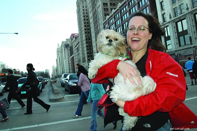 Harmonious Urban Living: Managing Dogs in City Apartments
