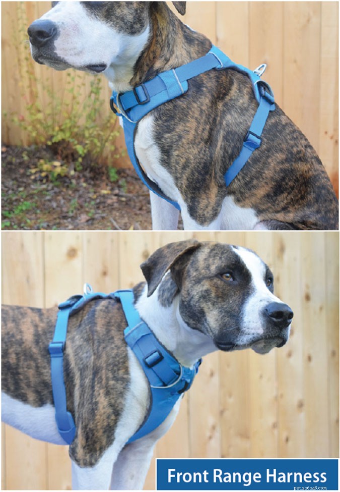 Top Front‑Clip Dog Harnesses for Comfortable, Controlled Leash Walking