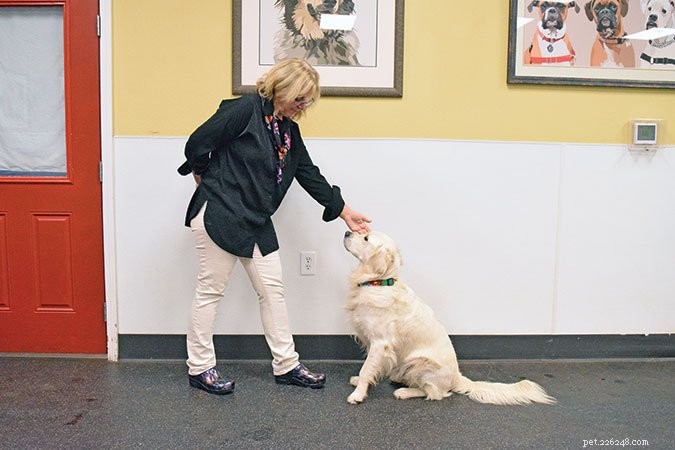 Why and How to Safely Grab Your Dog’s Collar