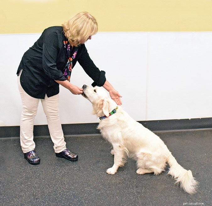 Why and How to Safely Grab Your Dog’s Collar