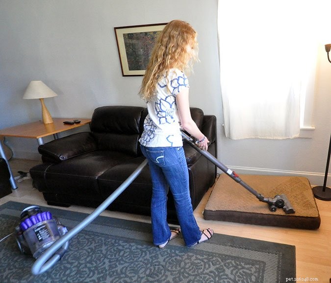 Effective Home Flea Control: Proven Steps to Eliminate Fleas Quickly