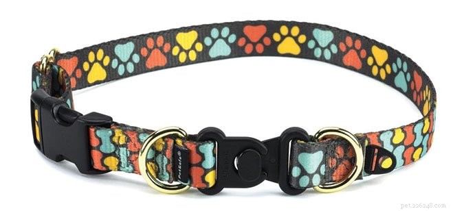 Choosing the Safest Dog Collars: What Works and What to Avoid