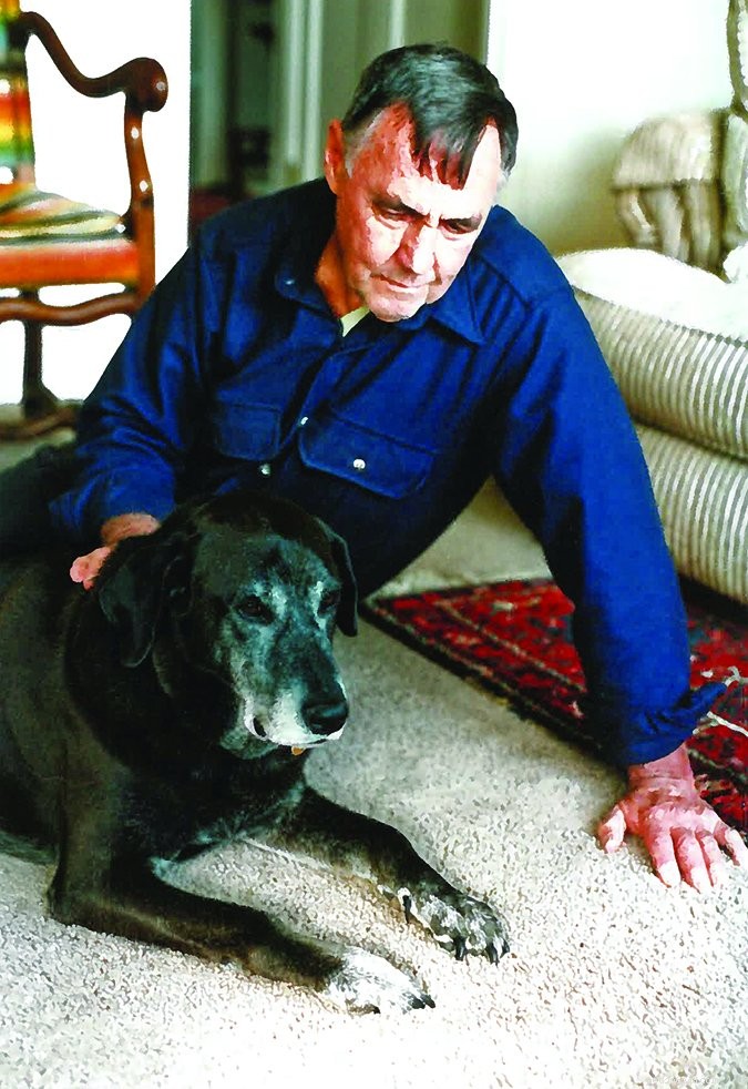 Compassionate Senior Dog Euthanasia: How the Process Works and What to Expect