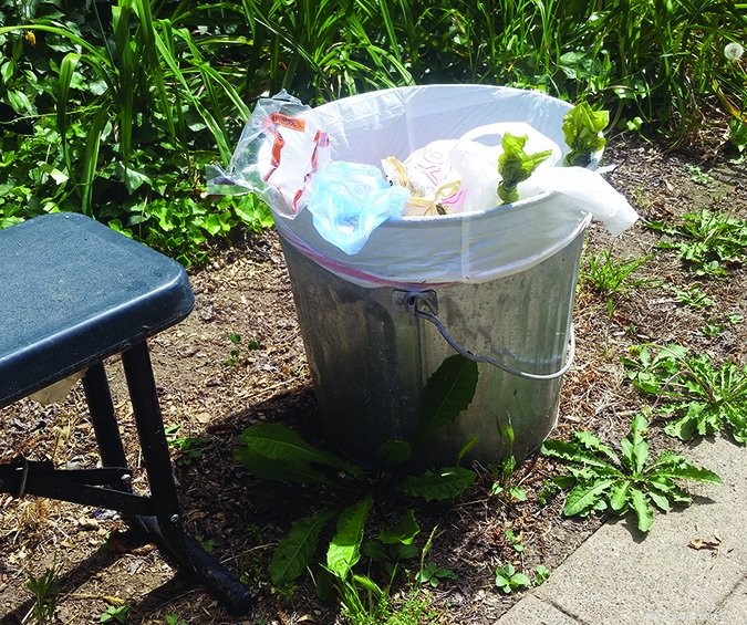 Eco‑Friendly Dog Waste Disposal: Practical, Responsible Solutions