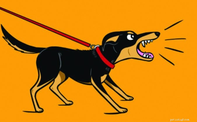 How to Build an Exceptional Dog Foster Home: A Step‑by‑Step Guide