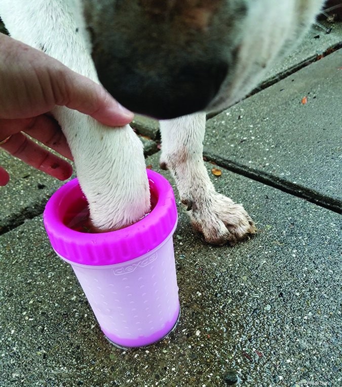 Mudbuster: Innovative Tumbler for Cleaning Your Dog s Feet