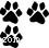 Expert Senior Dog Care: Pain Management & Mobility Tips