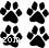 Expert Senior Dog Care: Pain Management & Mobility Tips