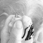 Choosing the Right Nail Grinder: Expert Tips for Healthy Dog Nails
