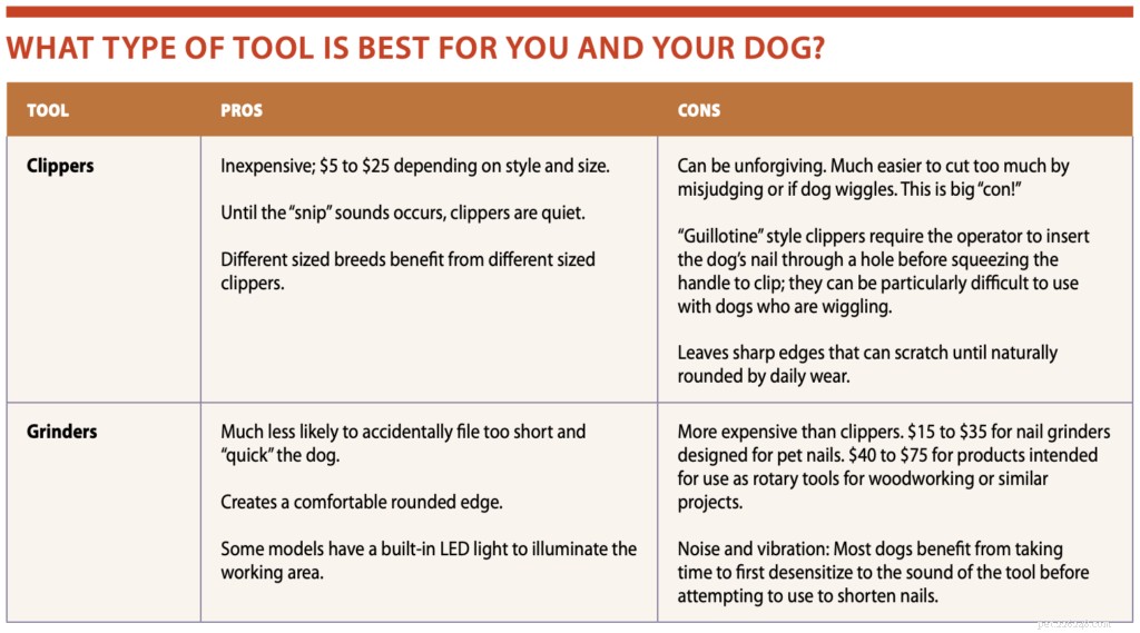 Choosing the Right Tool: Grinders vs. Clippers for Dog Nail Care