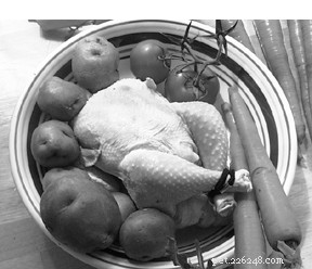 The Health Benefits of Raising Puppies on a Raw Diet