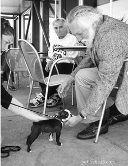Effective Puppy Socialization: A Step‑by‑Step Guide for New Owners