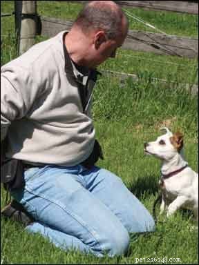 Life‑Saving Transformation: A Puppy’s Journey Through Targeted Behavior Modification