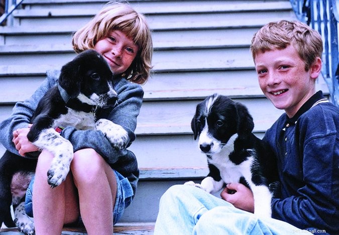 Why Adopting Two Puppies Simultaneously Can Be Challenging: A Comprehensive Guide