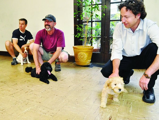 The Essential Guide to Socializing Your Puppy Early & Effectively