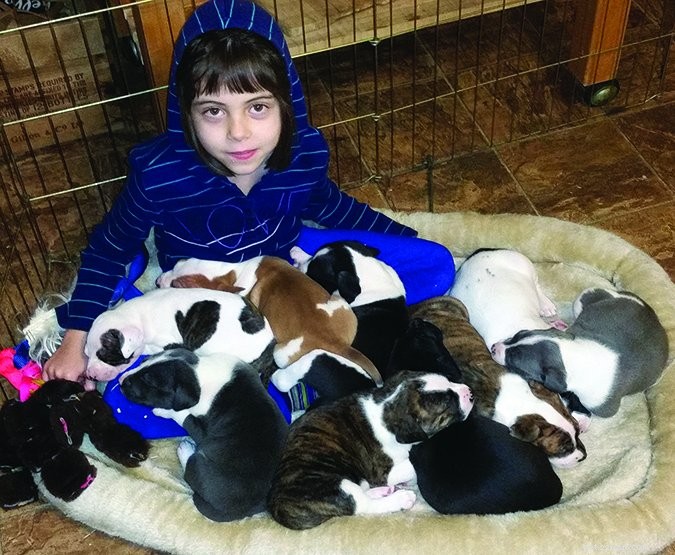 How to Raise a Well-Adjusted Puppy: Proven Tips for Success
