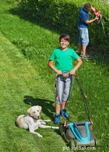 Ultimate Puppy Socialization Checklist: Step-by-Step Exposure Guide