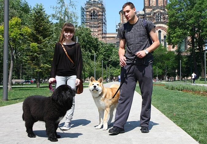 Ultimate Puppy Socialization Checklist: Step-by-Step Exposure Guide