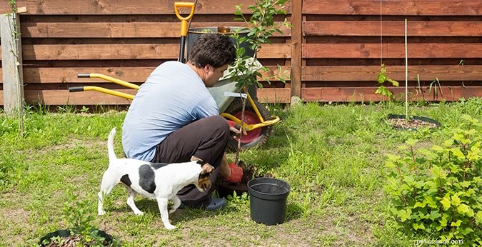 Ultimate Puppy Socialization Checklist: Step-by-Step Exposure Guide