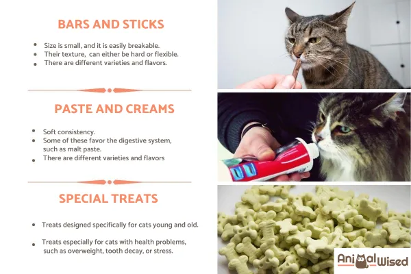 Top Cat Treats: The Best Rewards for Happy, Healthy Felines