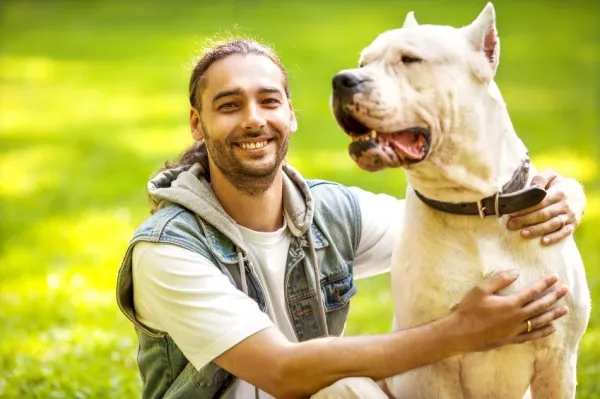 Effective Strategies to Calm an Anxious Dog