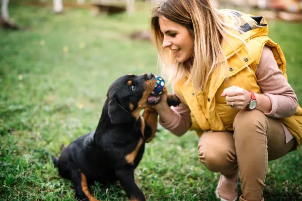 How to Play Safely and Effectively With Your New Puppy
