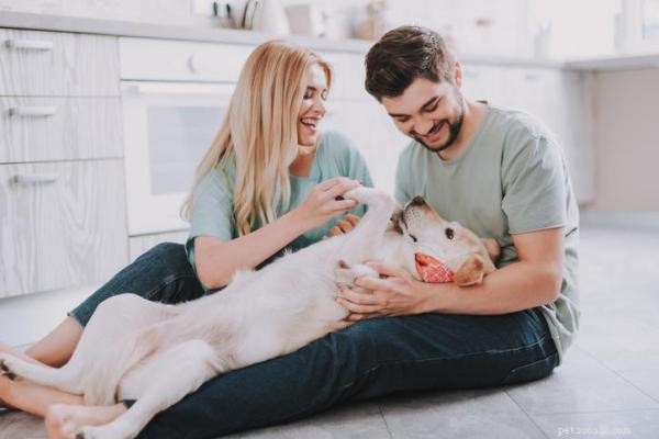 How to Play Safely and Effectively With Your New Puppy